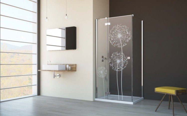 Sandblasted Glass Shower Doors
